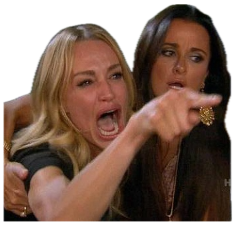 Woman Yelling at a Cat meme: a screaming pointing woman beside an unbothered white cat at a table sticker