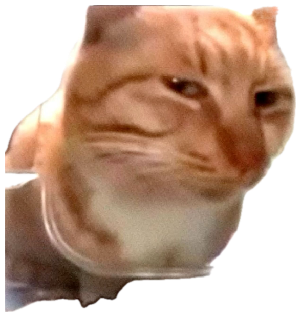 Orange tabby cat pressing its face against glass with a smug, knowing side-eye sticker