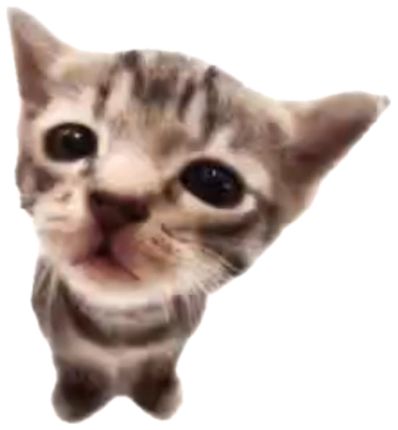 Wide-eyed smiling kitten captioned 'Todays a nice day to commit arson' sticker