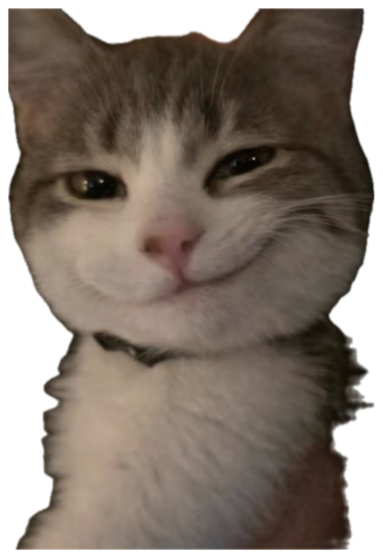 Grey-and-white kitten held up close with a sly, smug little smirk sticker