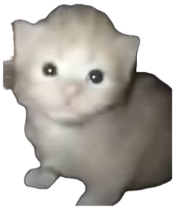 Tiny blurry white kitten sitting in the dark with wide glowing eyes sticker