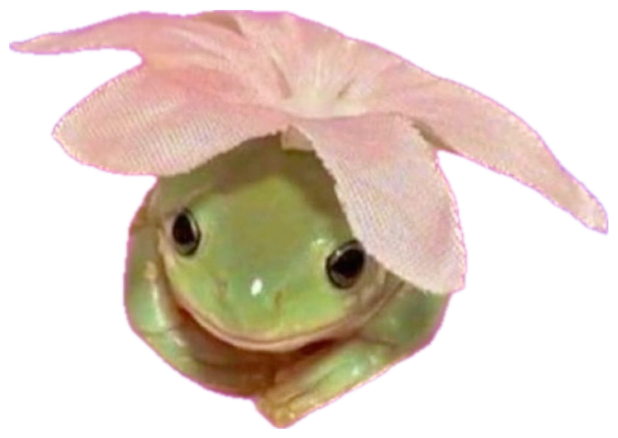 Frog wearing a pink flower petal hat on a glittery purple background — 'another day another slay' sticker