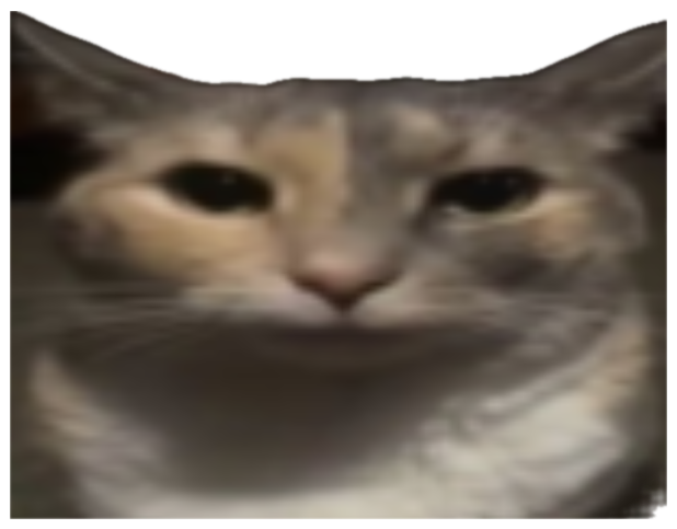 Grey cat with a flat, unimpressed close-up stare captioned 'stares at you' sticker