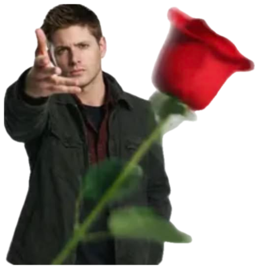 Handsome man in dark jacket extending a single red rose directly toward camera sticker