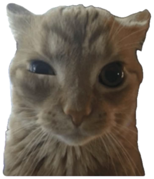 Orange tabby cat leaning forward with squinted, deeply skeptical side-eye sticker