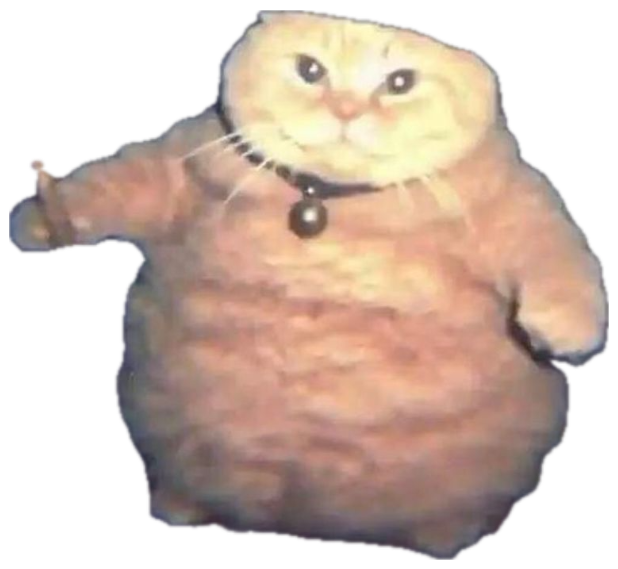 A chubby orange cat in a wizard hat standing in a dark forest looking grumpy sticker