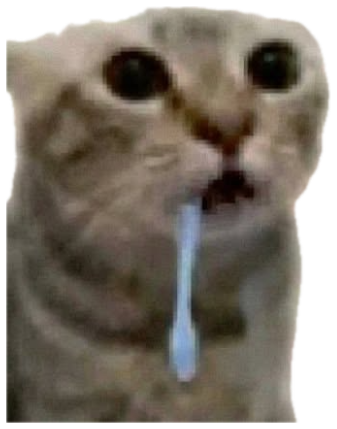 Two wide-eyed cats with toothbrushes hanging from their mouths, looking utterly startled sticker