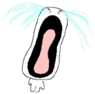 Crude cartoon face bawling with a wide-open mouth and tears spraying out both sides sticker