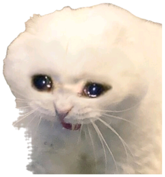 Fluffy white cat with huge teary eyes looking heartbroken sticker