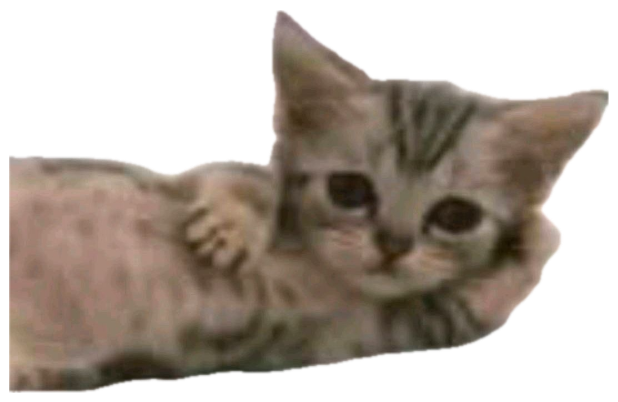 Sleepy tabby kitten lounging captioned 'What's cookin good lookin' sticker
