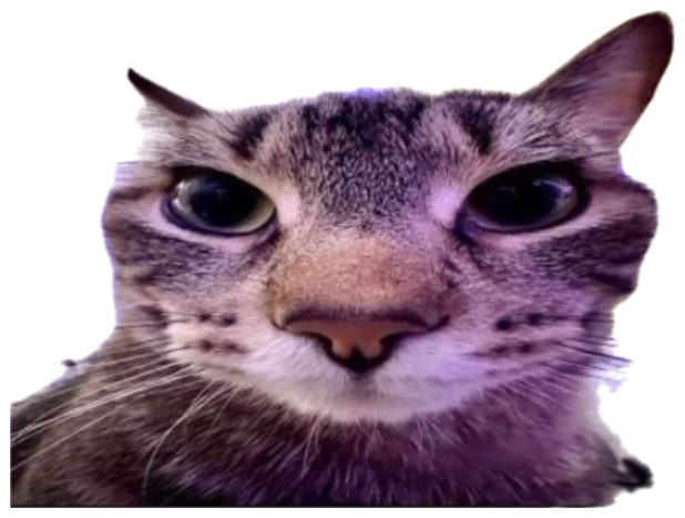 Cat staring intensely at the camera with the caption 'That's it. Im telling a trusted adult on you' sticker