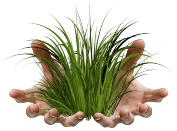 Hands cupping a lush patch of grass with the invitation to go on, touch it sticker