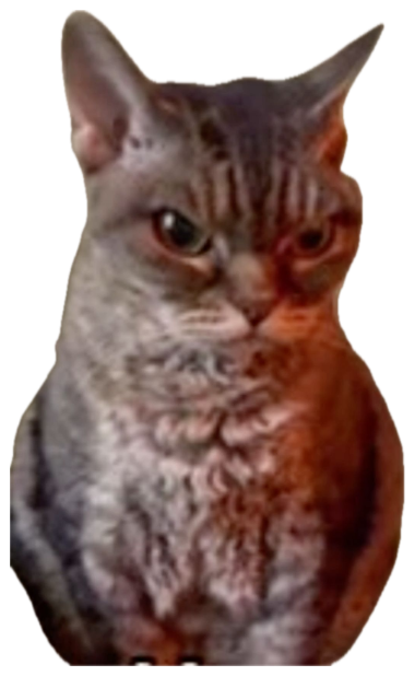Chunky tabby cat sitting perfectly still with a deeply annoyed glare sticker