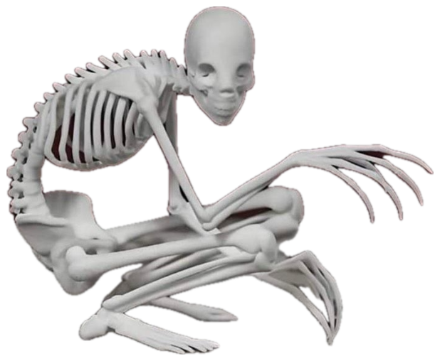 Hunched crab-legged skeleton captioned 'Me at the beach searching for shells' sticker