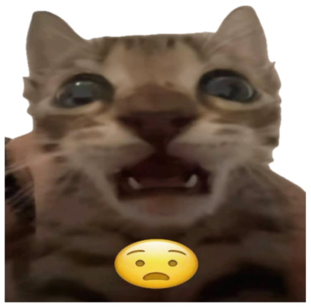Kitten caught mid-gasp with saucer eyes and an anguished-face emoji stamped on sticker