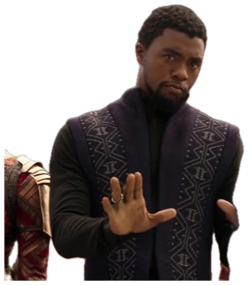 T'Challa in Wakandan garb holding up a hand like 'absolutely not, stop right there' sticker