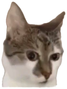 White tabby cat staring dead into the camera with text 'something malicious is brewing....' sticker