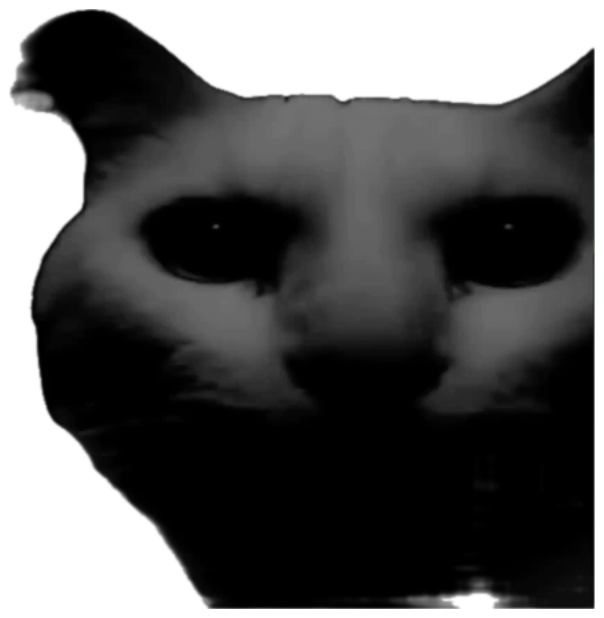 Dark grainy black-and-white cat with big teary eyes looking miserable sticker