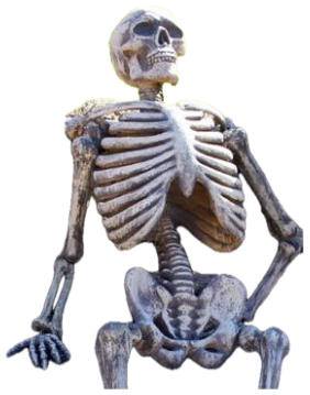 A plastic skeleton slumped on a wooden bench outside like it's been waiting forever sticker