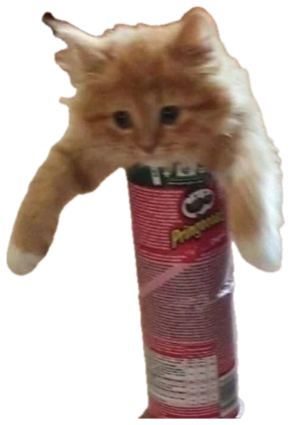 Fluffy orange kitten stuck halfway into a Pringles can, front paws dangling sticker