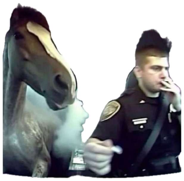 Police dashcam captures a horse leaning into the front seat beside an officer sticker