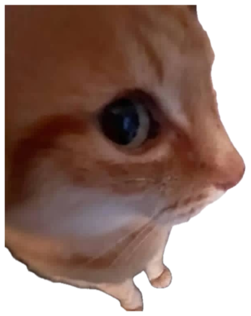 Extreme close-up of a ginger cat locking eyes with the camera sticker