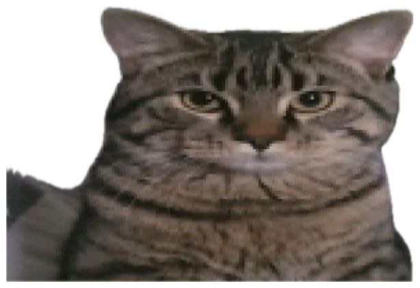 Tabby cat staring dead-eyed below the threat 'Your balls will explode NOW' sticker