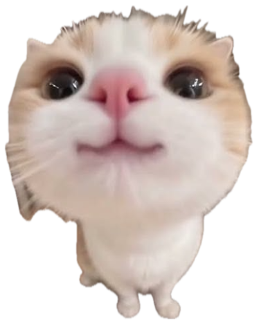 Tiny orange-and-white cat standing on its hind legs with huge sparkling eyes and a big smile sticker