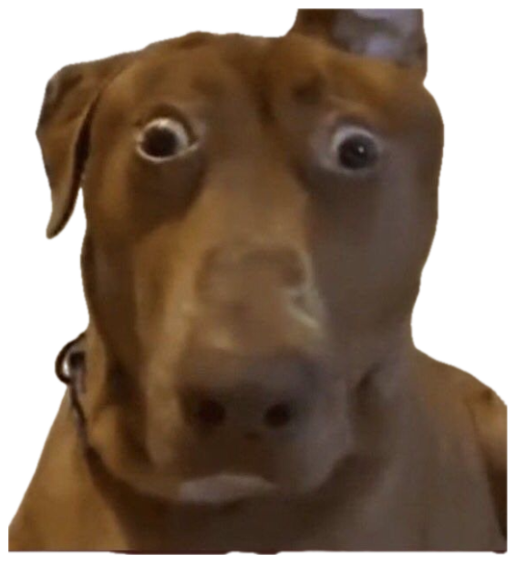 Brown dog with bulging wide eyes and a stunned, alarmed stare sticker