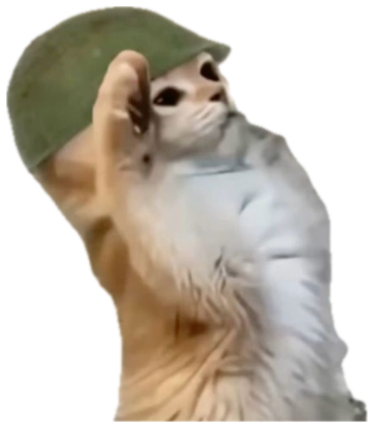 Tiny cat in a helmet lying flat captioned 'reporting for eepy duty sir' sticker