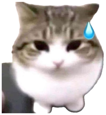 Chubby cat staring blankly with a nervous sweat-drop emoji beside its head sticker