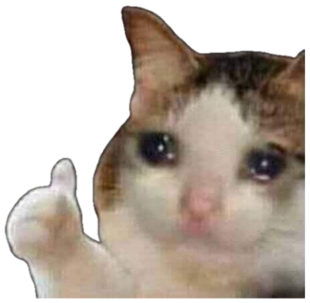 Teary-eyed cat giving a brave thumbs-up while holding back tears sticker