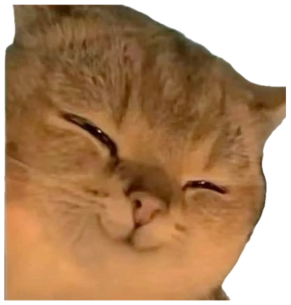 Chubby orange Scottish Fold cat lying sideways with half-closed sleepy eyes sticker
