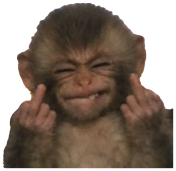 Baby monkey grinning while flipping off the camera with both hands sticker