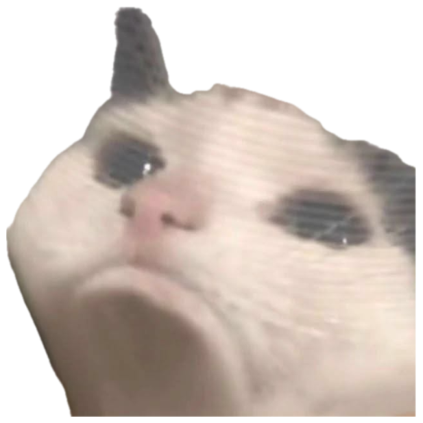 White cat peering out from a plastic cone looking miserable sticker