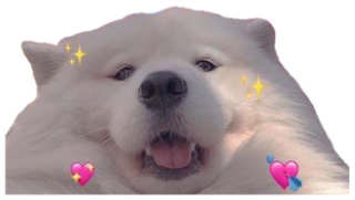 Fluffy Samoyed under cherry blossoms and hearts, 'you are so precious to me' sticker