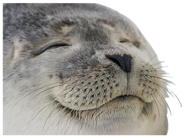 Seal with eyes closed and a blissful little grin, totally content sticker