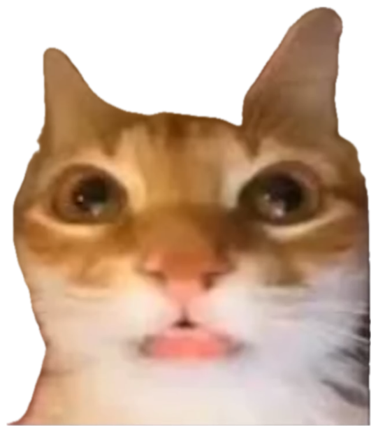 Wide-eyed cat with tongue out captioned 'me when the periodic table does not contain the element of surprise' sticker