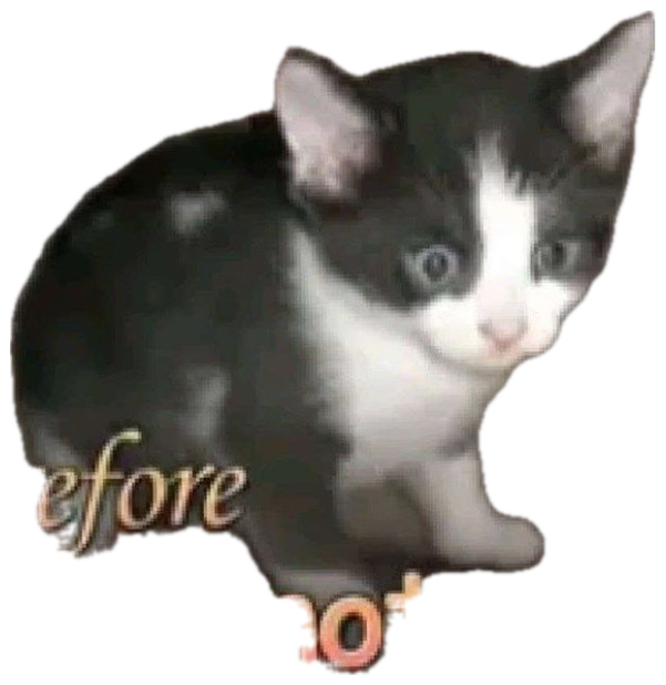 Two kittens staring blankly, captioned 'i do not think therefore i do not am' sticker