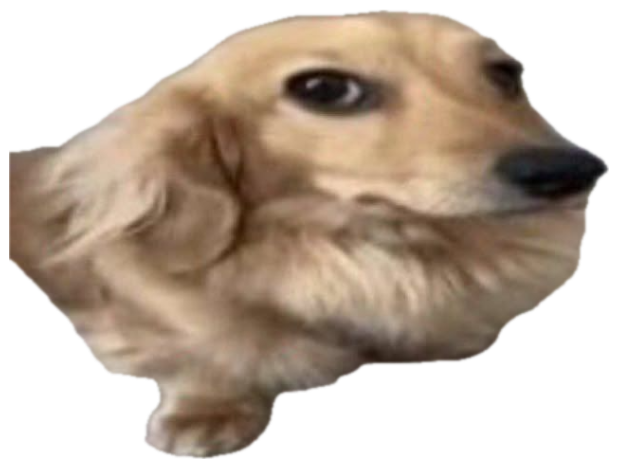 Long-haired golden dachshund on a sofa giving a very suspicious side-eye glance sticker