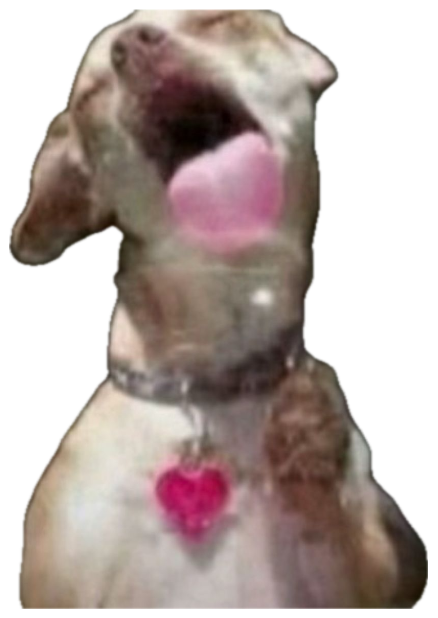 Dog with tongue out mid-lick, wearing a heart-shaped tag sticker