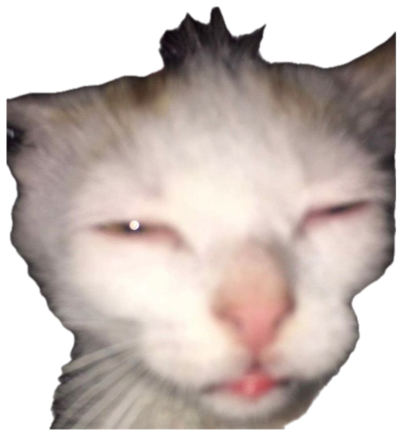 White cat with half-closed eyes looking deeply unimpressed in a blurry closeup sticker