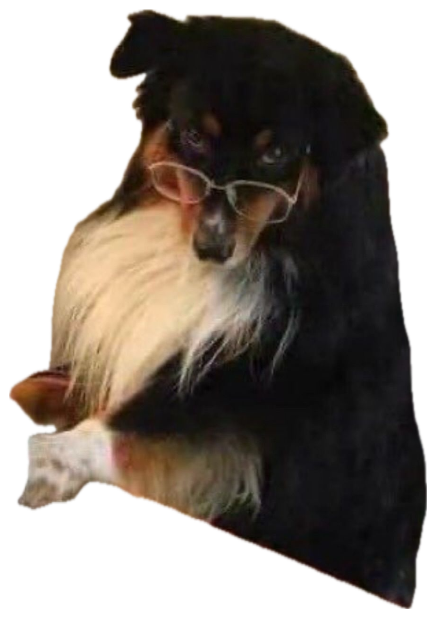 Fluffy dog in tiny glasses seated at a sewing machine looking studious sticker