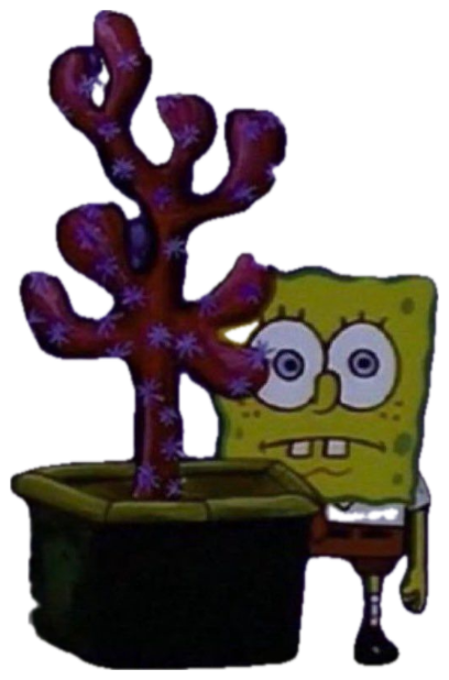 SpongeBob peeking awkwardly from behind a coral plant sticker