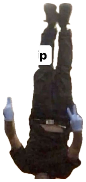Server doing a handstand in a restaurant dining room, text says 'he trying to get a tip' sticker