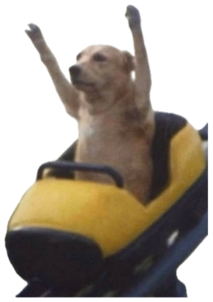 Dog on a roller coaster throwing both paws up like it's living its best life sticker