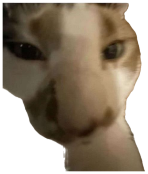 Blurry cat staring you down over the caption 'listen here you goobie snoobert' sticker