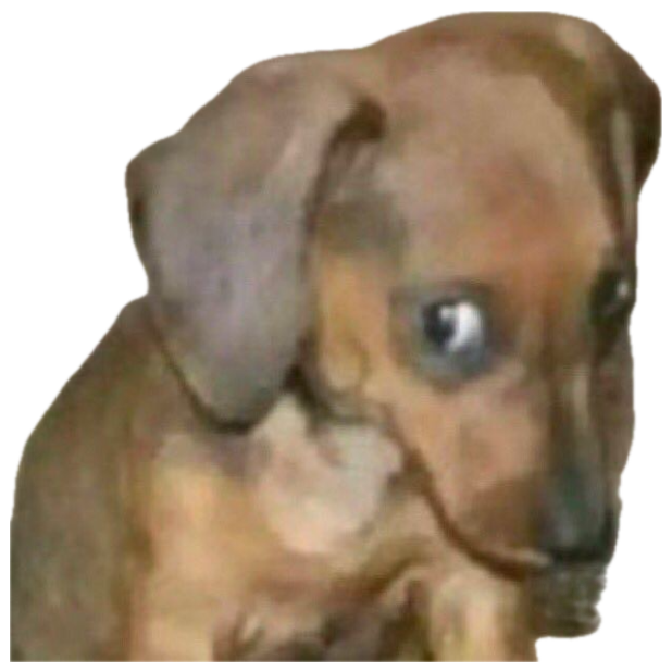 Tiny sad puppy tilting its head with big sorrowful eyes sticker