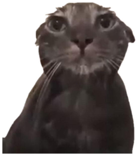 Wet grey cat sitting in a tub staring flatly into the camera sticker