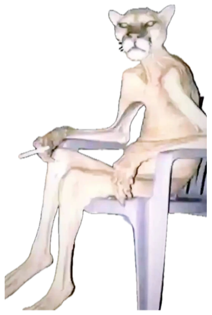 Mountain lion sitting like a human on a lawn chair smoking a cigarette at night sticker